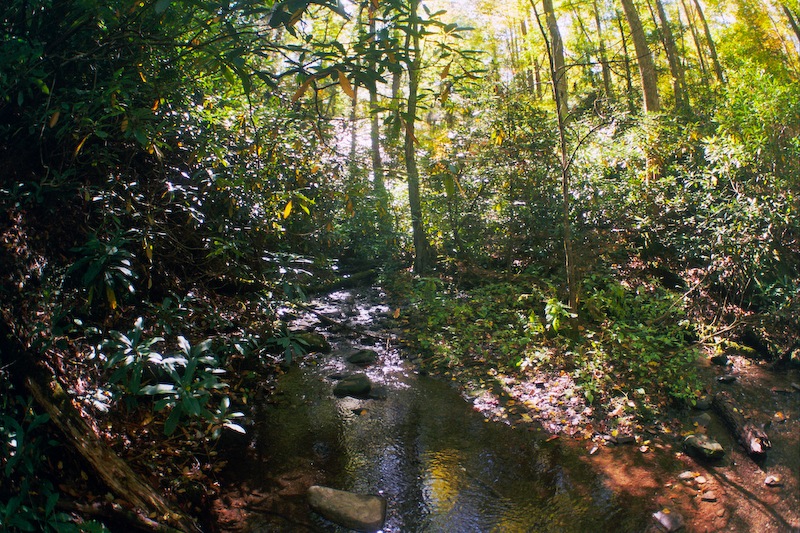 Great Smoky Mountains in the Fall